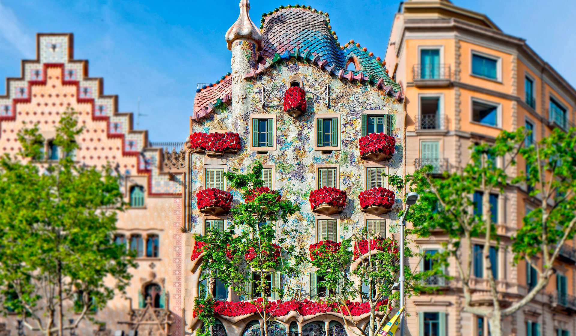 Park Guell image